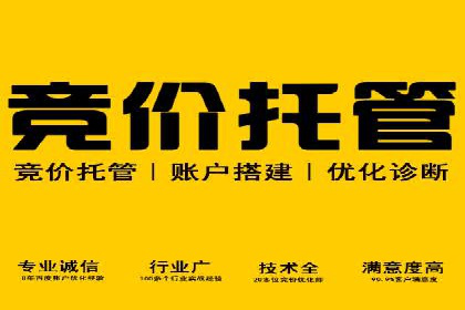 百度竞价：从入门到精通，快速实现盈利的案例集